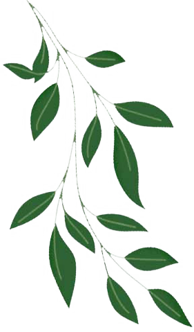 leaf